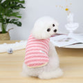 Small Dog Autumn Winter Clothing