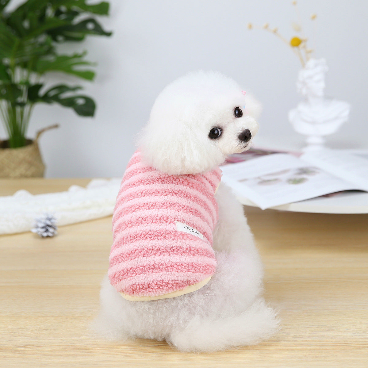 Small Dog Autumn Winter Clothing