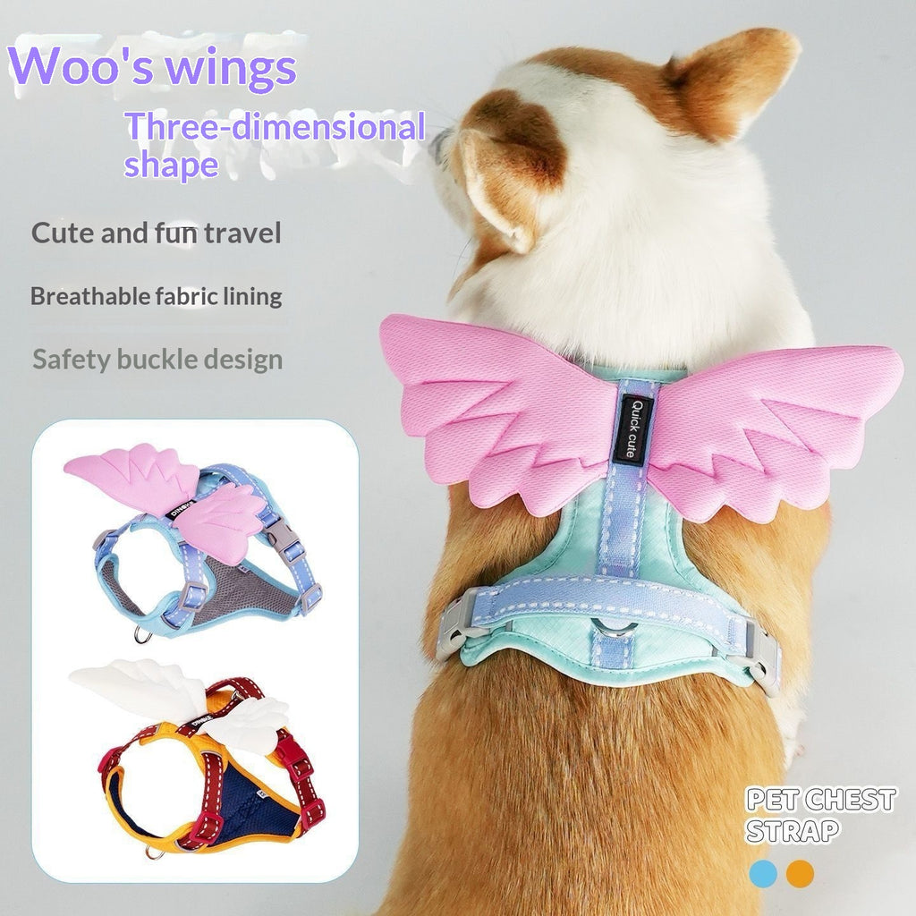Universal Outdoor Dog Harness With 3D Angel Wings And Leash