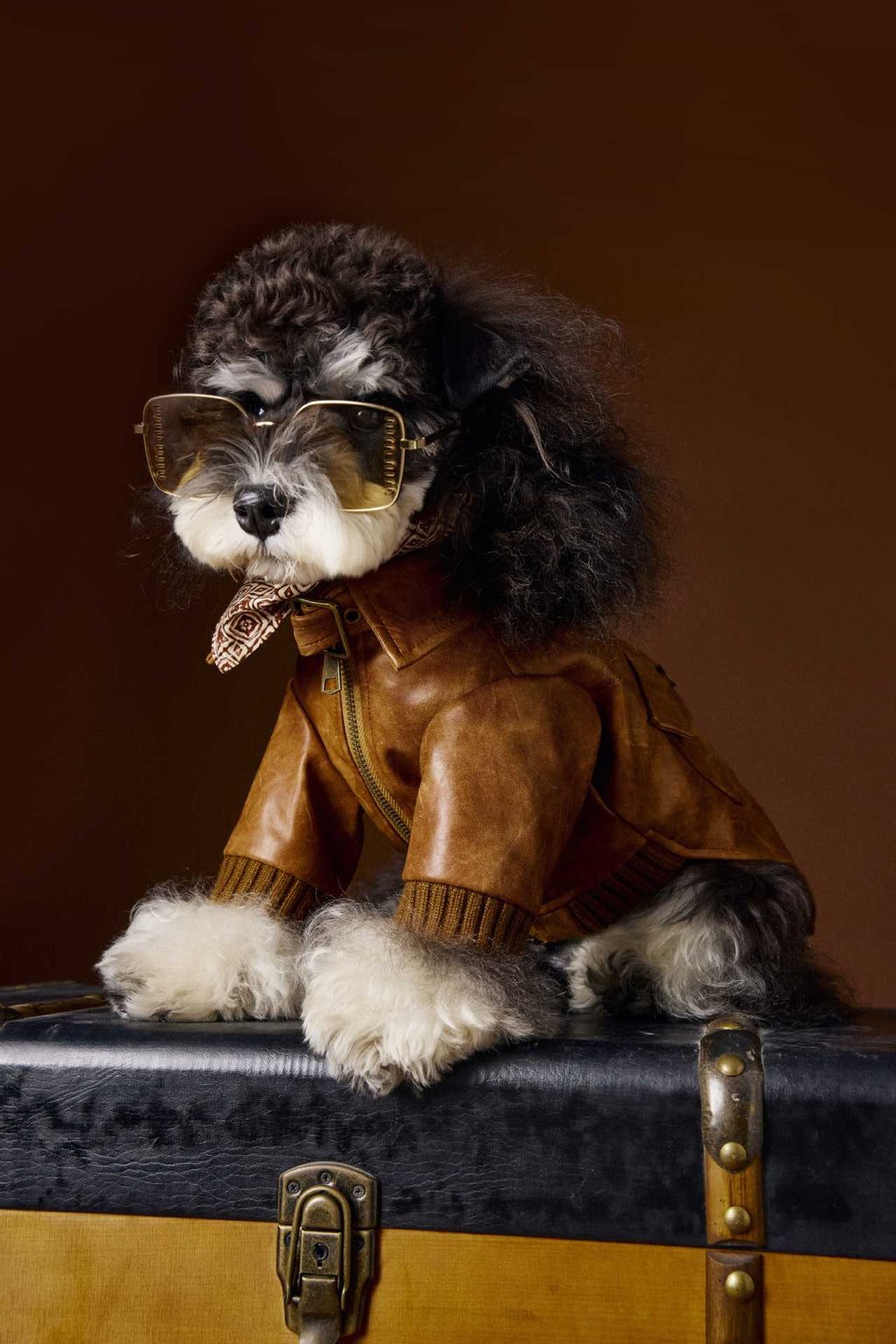 Schnauzer Bichon Handsome Retro Style Long Sleeve Two Feet Apparel Leather Coat