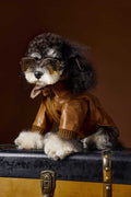Schnauzer Bichon Handsome Retro Style Long Sleeve Two Feet Apparel Leather Coat