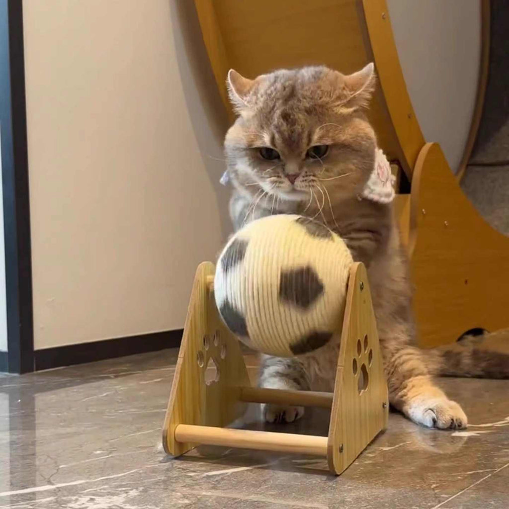 Vertical Wooden Grounder Cat Scratch Board Wear-resistant No Dandruff