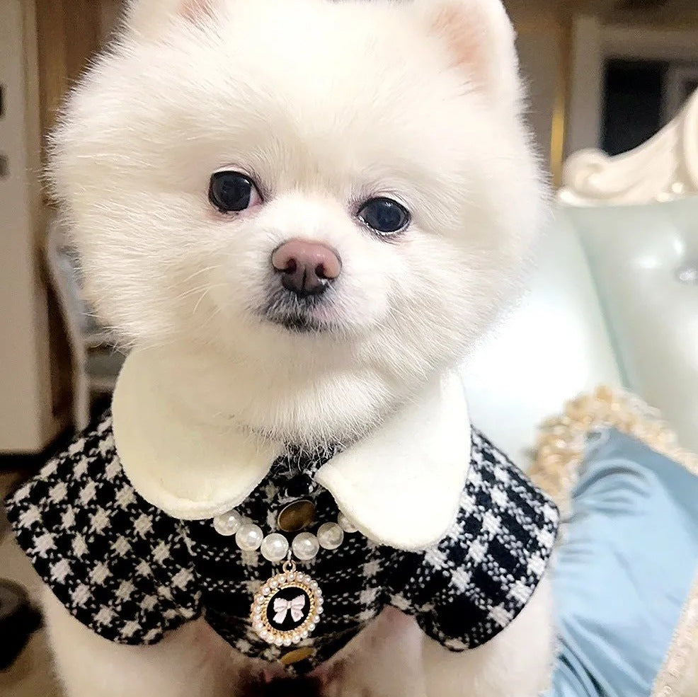 Trendy Warm Pet Clothes For Dogs And Cats