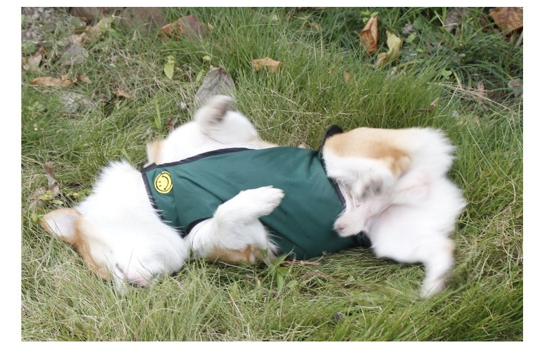 Bellyband Waterproof Pet Apron Corgi Clothes