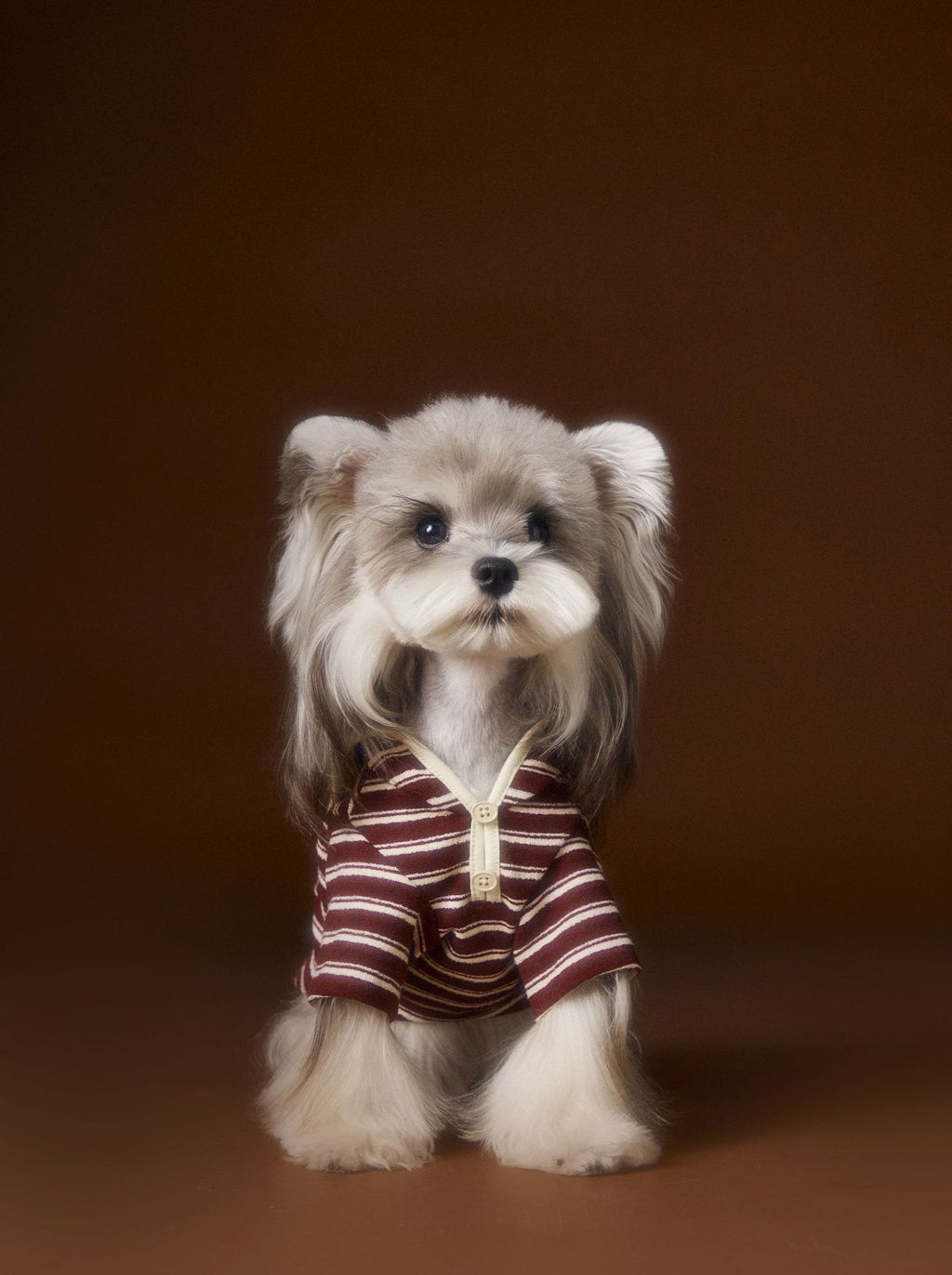 Teddy Bichon Maltese Striped Embroidered Sailor Collar Sweatshirt
