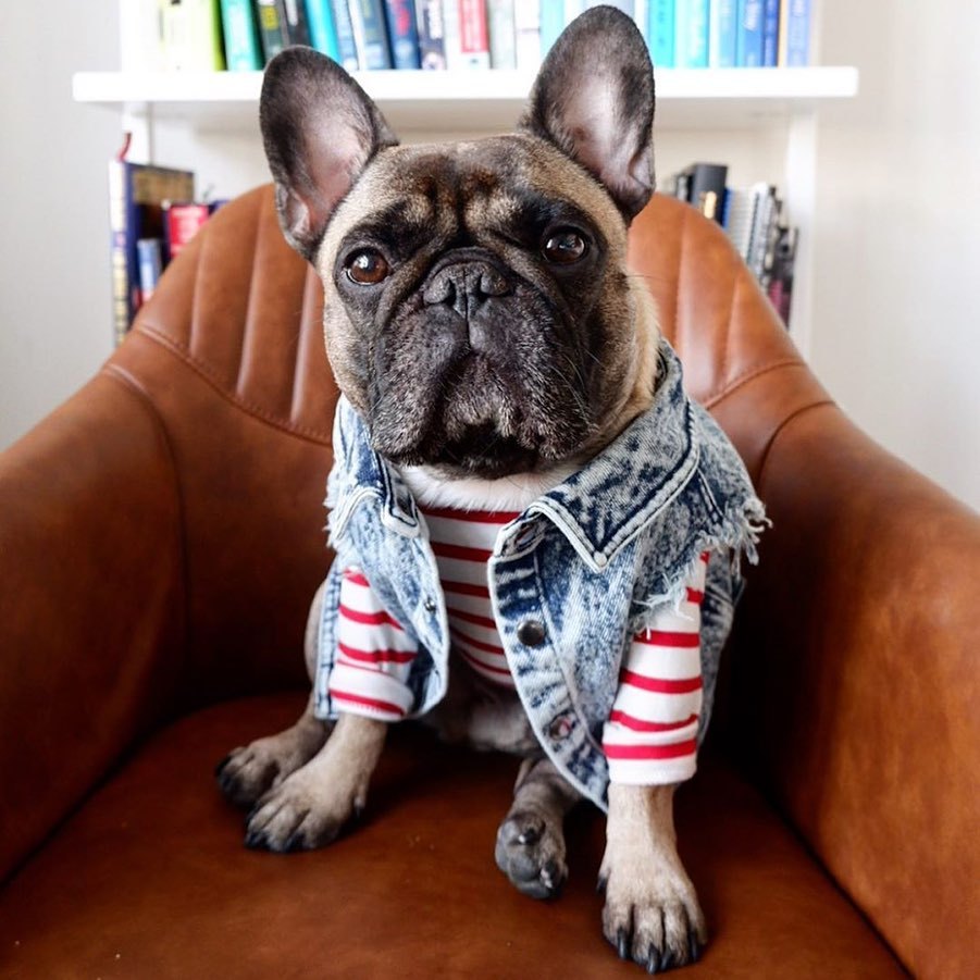 Pet Dog Washed Denim Jacket Clothes