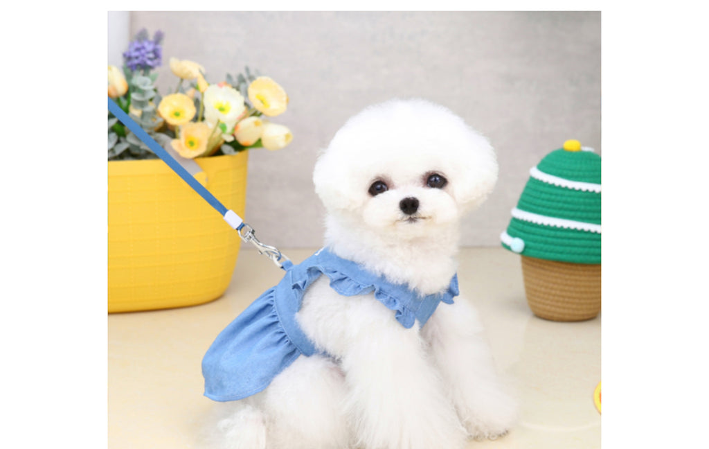 Puppy Clothes Spring And Summer Thin Letters Dress