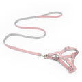 Walking The Dog With Traction Rope On Chest And Back