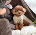 New Autumn Winter Cozy Sweater Dog Clothing
