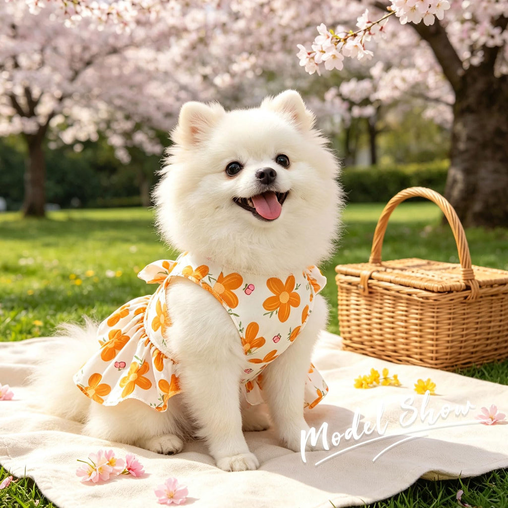 2Pack Small Dog Harness Dress For Girl Puppy Cat Dress With Flower Pattern Bow Adjustable Breathable Lining Back D-Ring Cute Outfits For Small Puppy