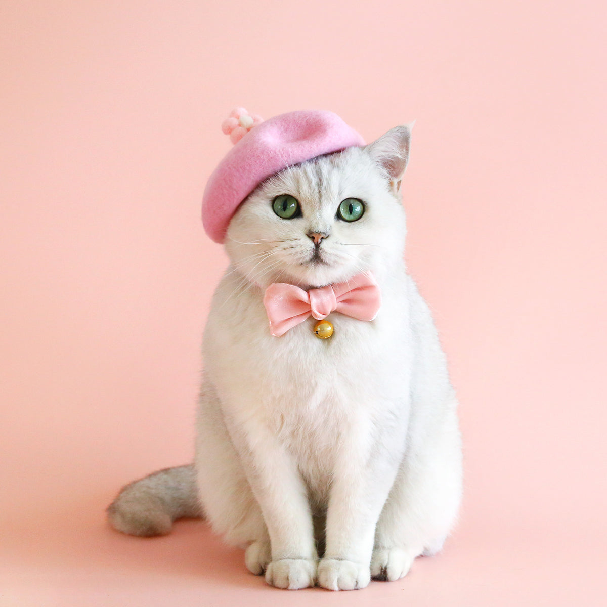 Pet Wool Cartoon Colored Bud Hat
