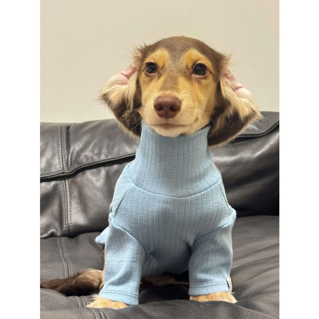 Pet Clothing Autumnwinter High-neck Base Vest