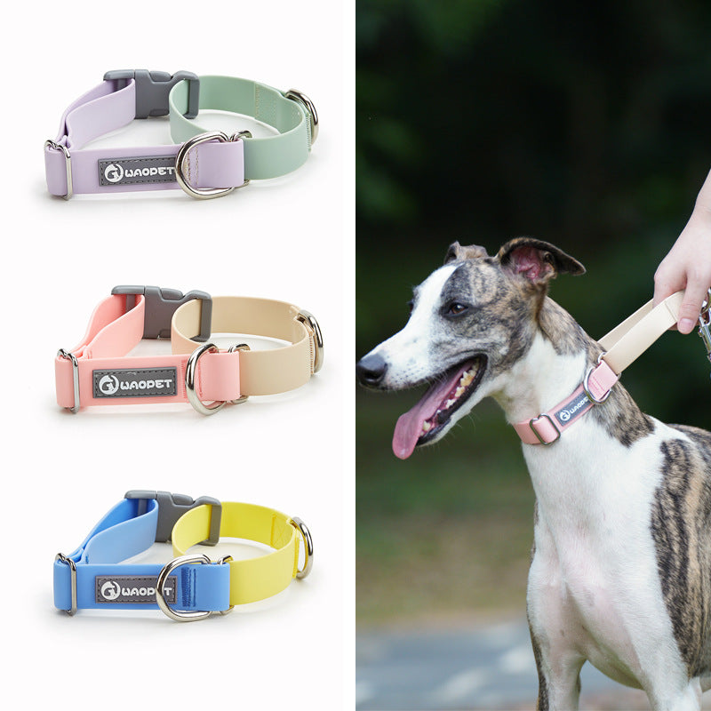 Plastic Waterproof Traction Collar Pet Supplies Tow Rope Collar