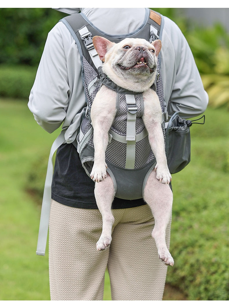 Pet Dog Backpack Mesh Breathable
