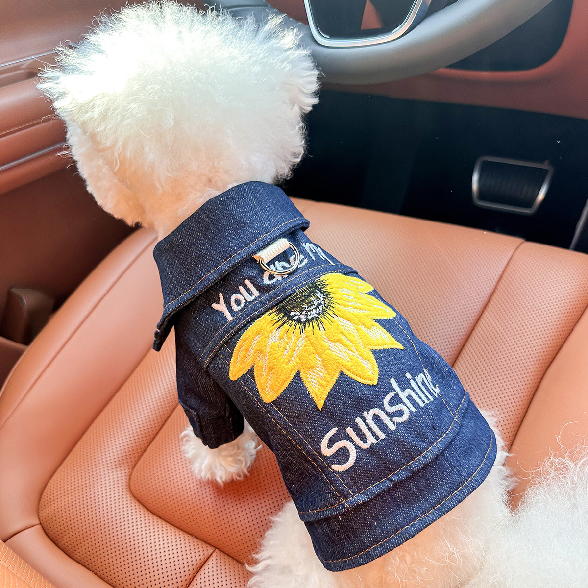 Sunny Denim Two-leg Dog Clothes