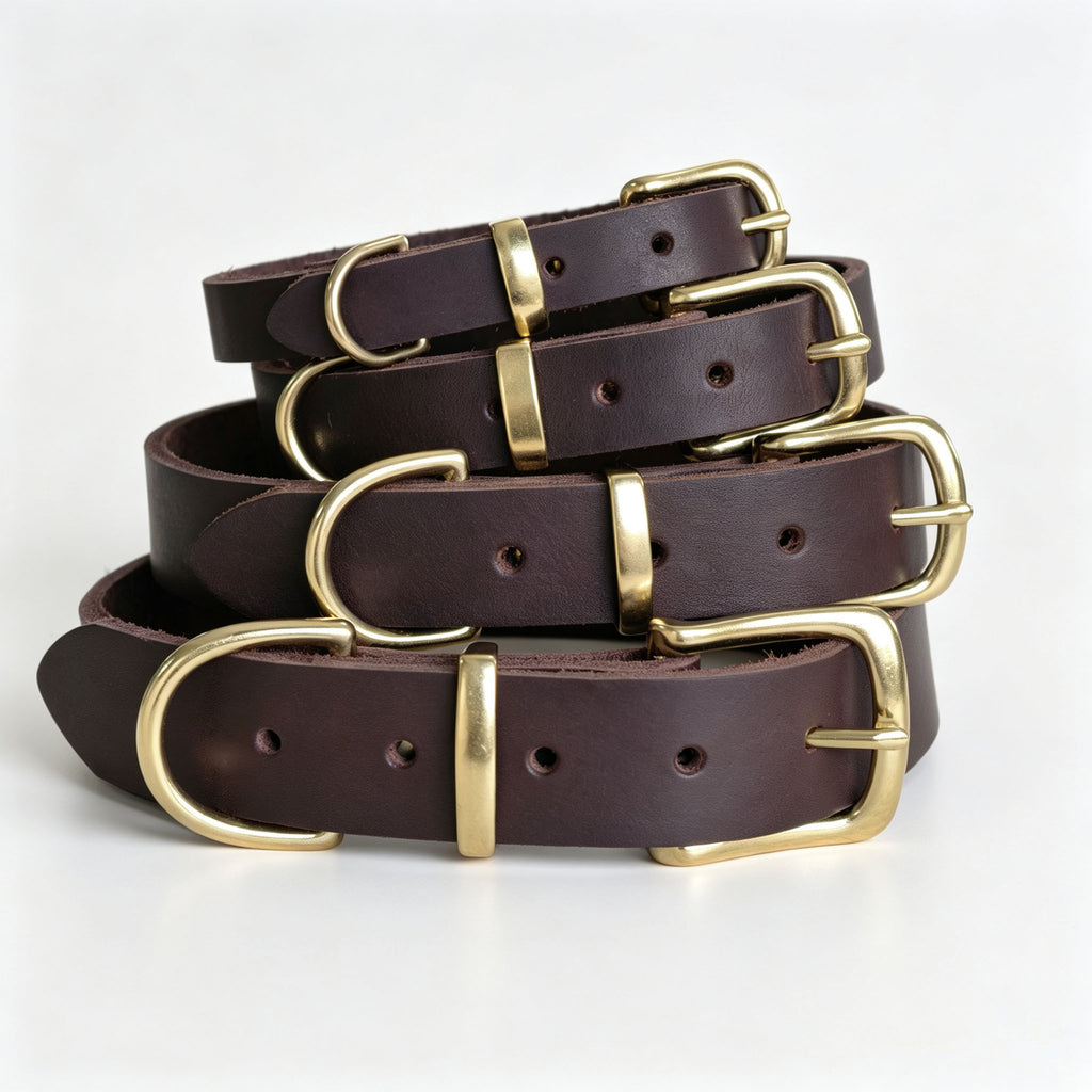 Vintage-style Pet Collar With Brass Fastenings