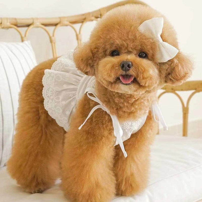 Main Sling Short Skirt Bowknot Hairpin Cat Thin Pet Clothes