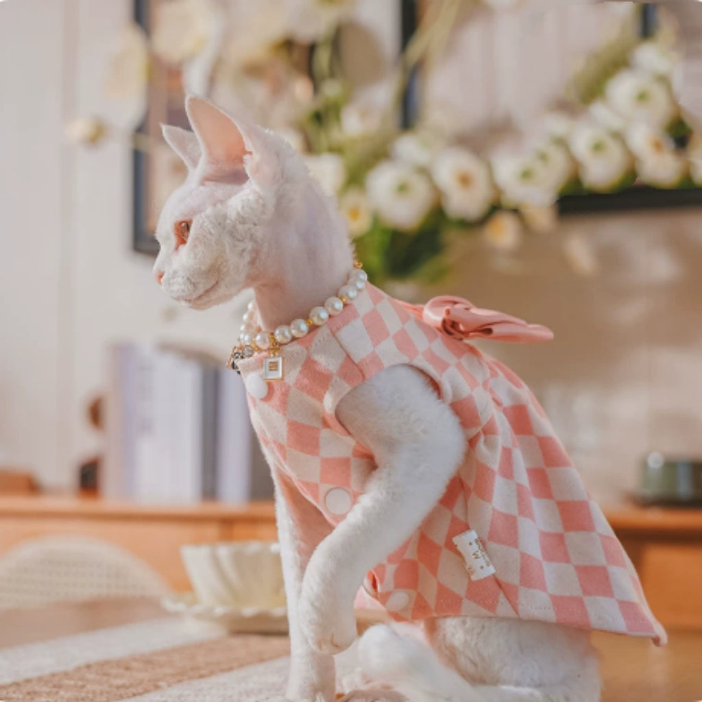 Hairless Cat Devon Cat Kitten Clothes British Style Dress