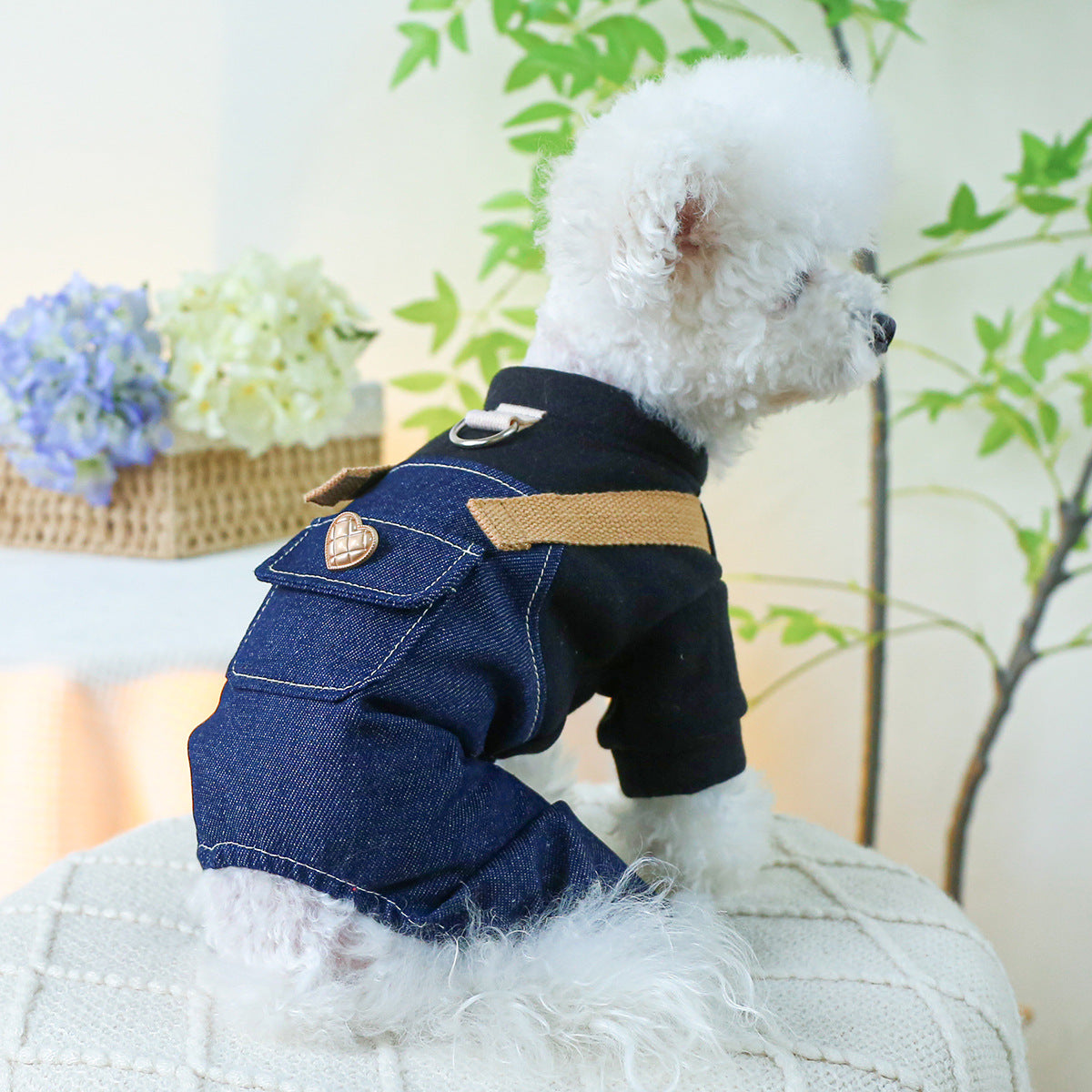 Small And Medium-sized Dogs With Traction Rope Buckle Four-leg Punk Suspender Pants