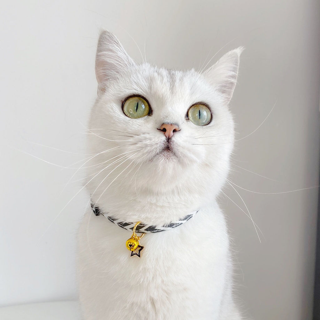 Pentagram Geometry Striped Bell Adjustable Pet Collar