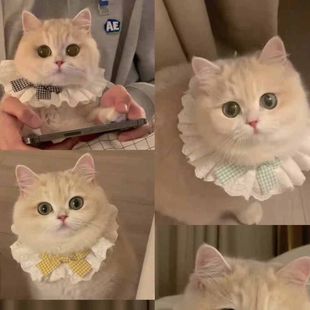 Cat Pure Cotton Lace Bib Saliva Pet Bow Cute Scarf Decorative Bib Dog Bib Accessories