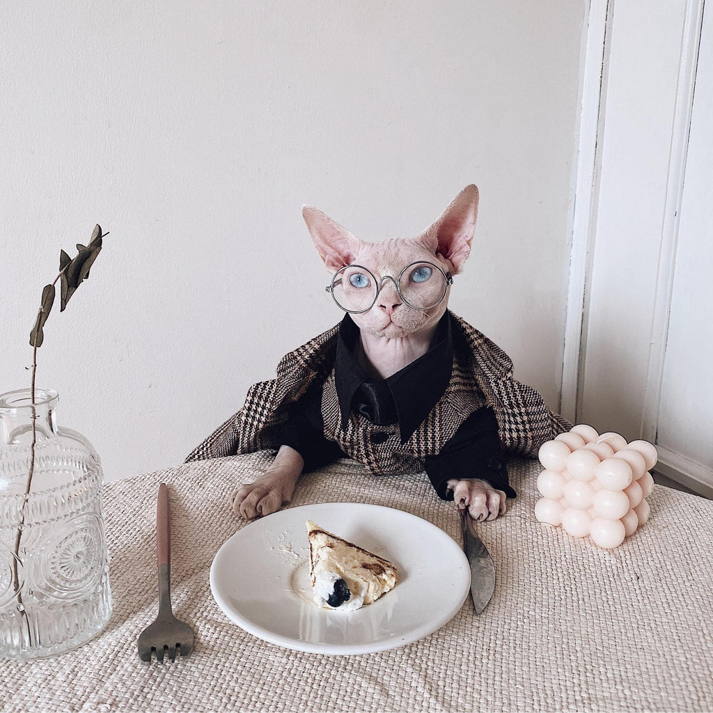 Sphynx Cat Dress Shirt Tie Vest Blazer Set For Hairless Cats