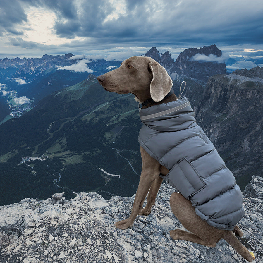 Winter Cotton Padded Pet Clothes
