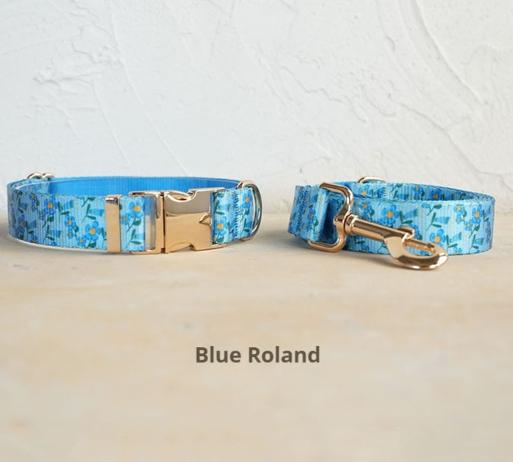 Hardware Buckle Pet Dog Collar Leash Set