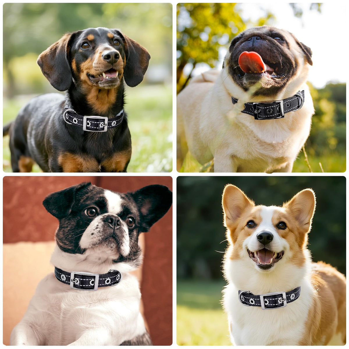 Reflective Dog Collar For Medium Dogs, Adjustable Wide Soft Comfortable Breathable Neoprene Padded Nylon Collar With Heavy Duty Metal Buckle For