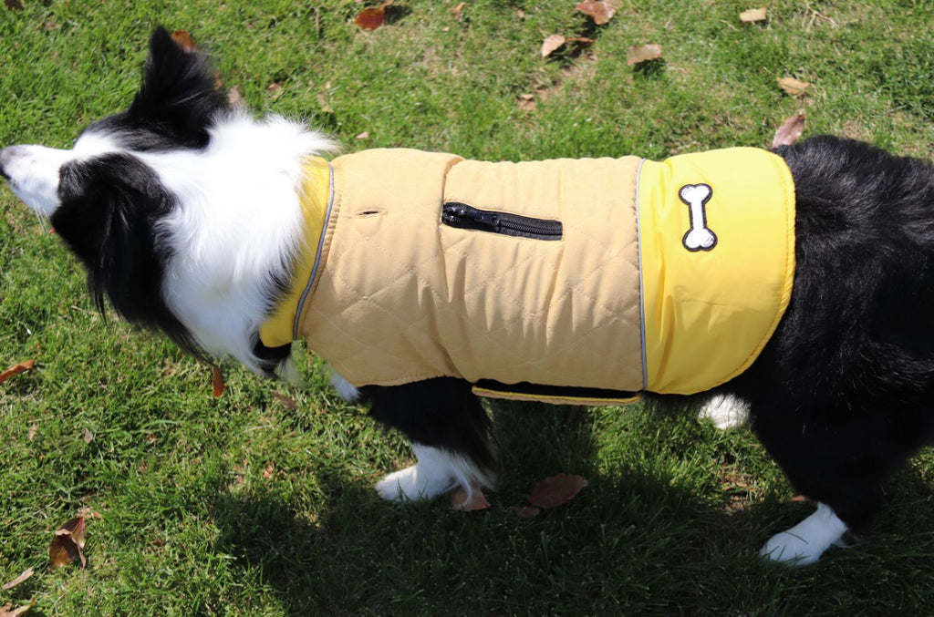 Fashion Autumn And Winter Outdoor Dog Clothes