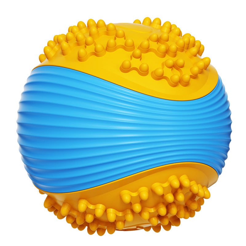 Pet Toy Ball