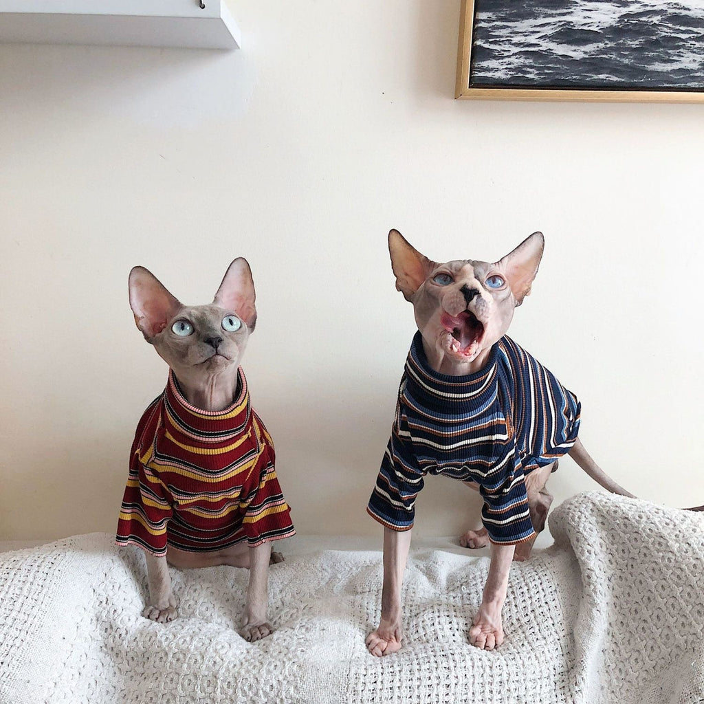 Springsummer Sphinx Hairless Cat Clothing Breathable And Artistic
