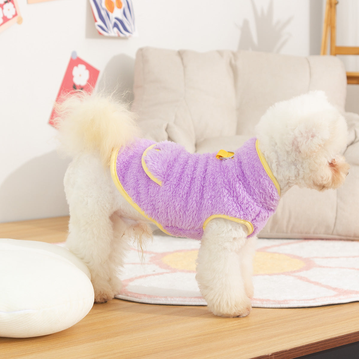 Autumn And Winter Double-sided Plush Dog Clothes