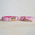 Self-designed Soft And Comfortable Pet Dog Collar Leash Set