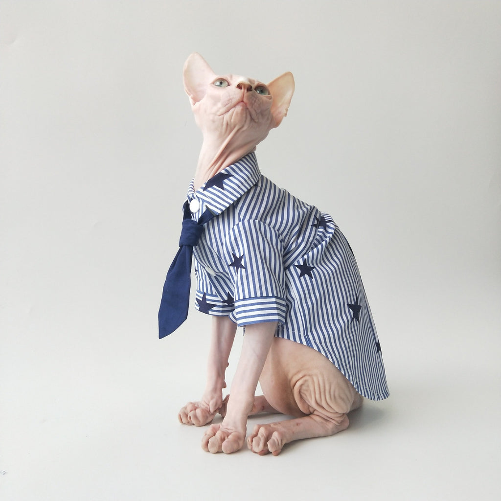 Sphynx Cat Cotton Shirt With Tie Blue Striped With Stars Pattern