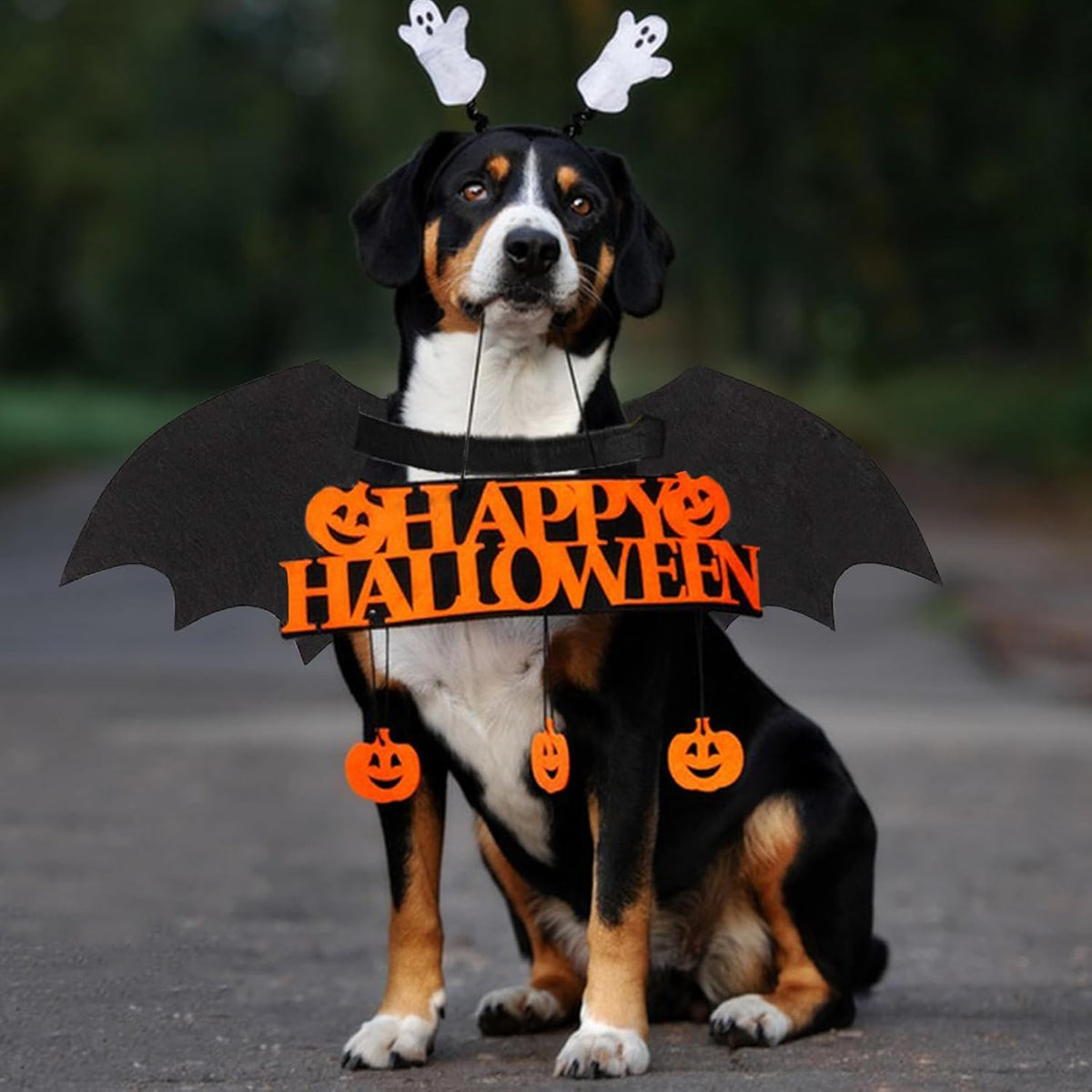 Dog Halloween Costumes Dog Bat Costume Cool Luminous Skeleton Bone Bat Wings Pets Cosplay Costumes Dress Up Apparel For Small Medium Large Cats And