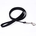 Pet Dog Hand Holding Rope Multicolor Colorful
