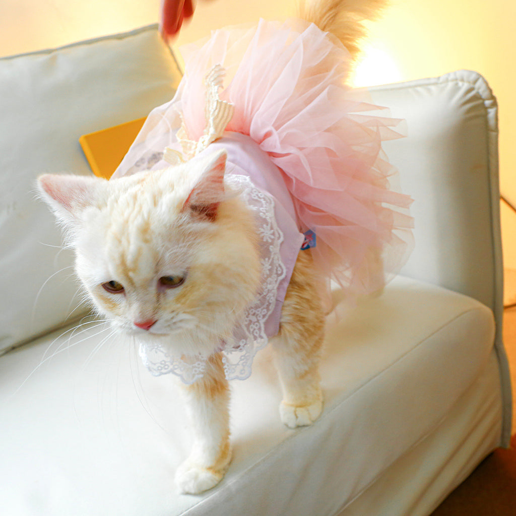 Pet Clothing Cat Clothes Lace Cat