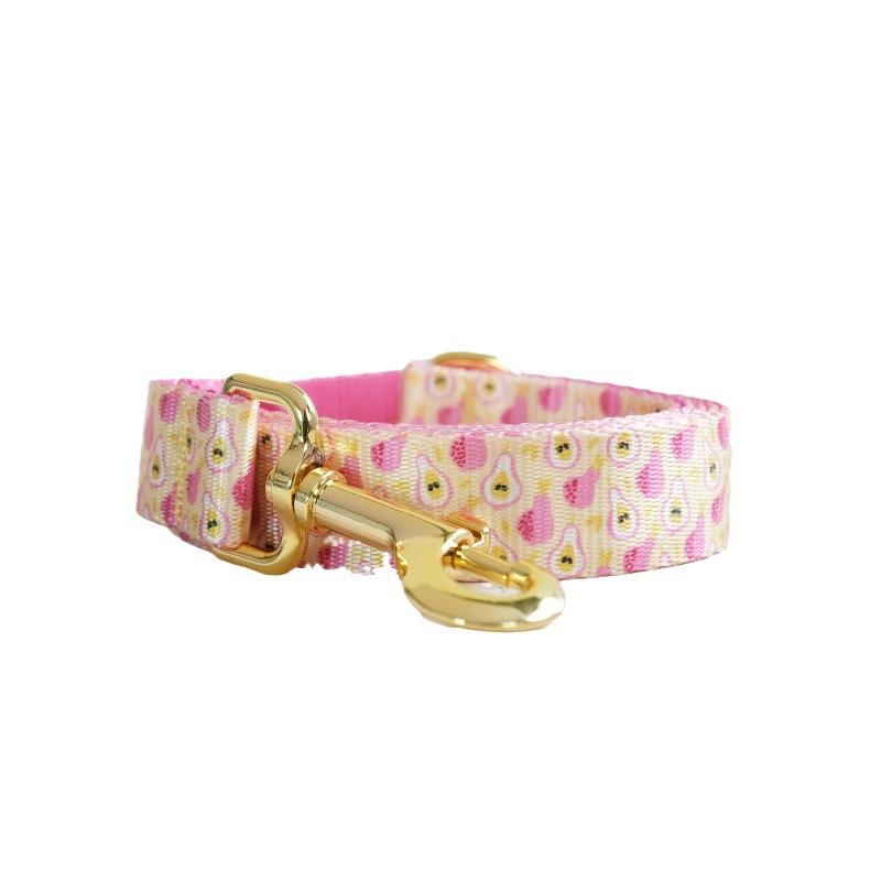 Nylon-look Dog Collar With Pet Print