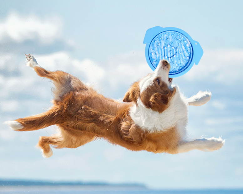 Multi-functional Suction Cup Lick Pad Folds Slow Food Bowl