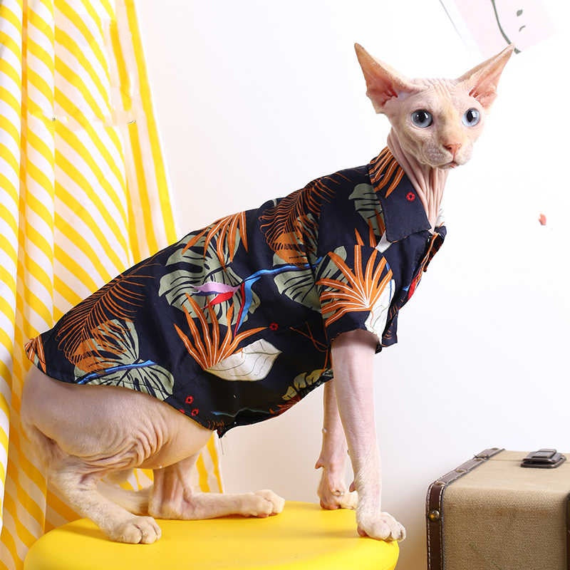Sphynx Cat Summer Shirt Hawaiin Style Button Up Clothes
