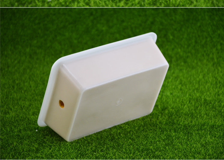 Pet Ant Flat Plaster Nest