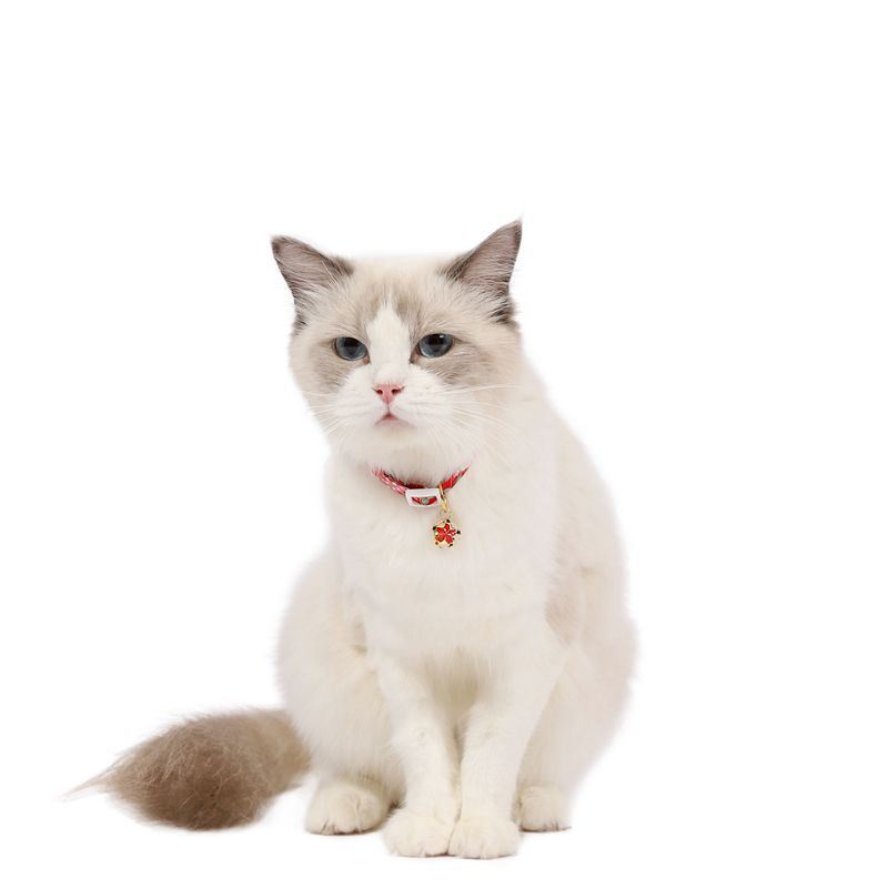 Adjustable Pet Flower Hollow Bell Collar